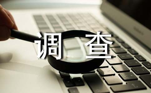 小学生的社会调查报告