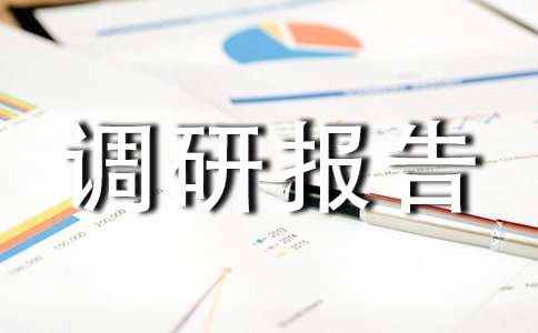 经济社会发展调研报告