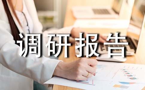 走访企业调研报告