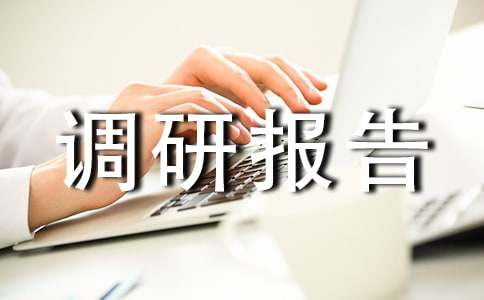 信贷调研报告20篇