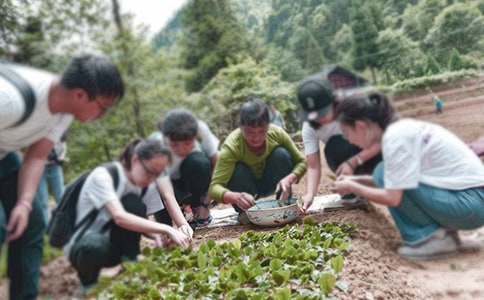 大学生三下乡社会实践报告范文