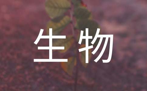 大学生物流专业求职自荐信 