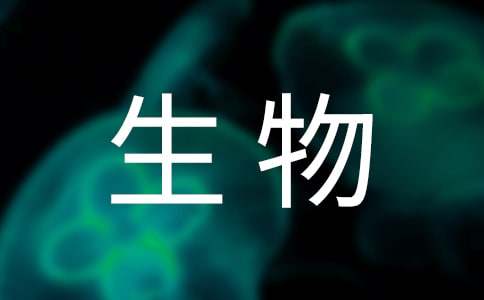 大学生物流公司社会实践报告