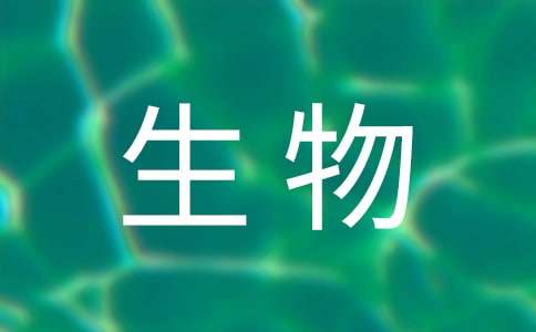 生物专业自荐信13篇