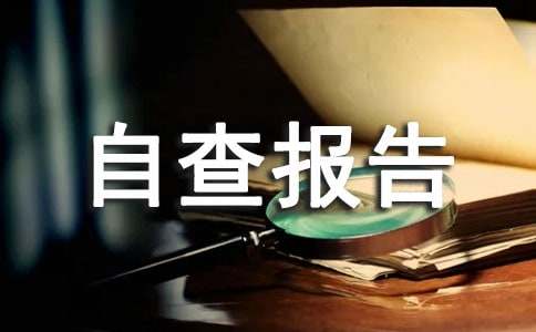 市公安局关于2005年度法制建设工作情况自查报告