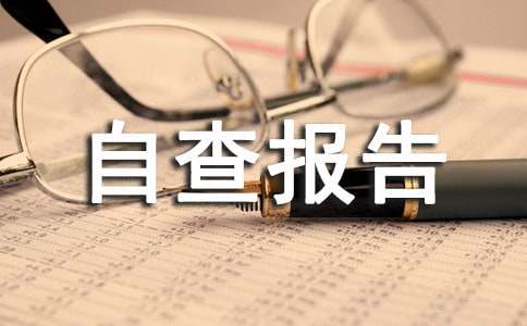 有关企业自查报告范文