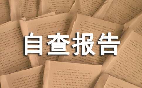 中学督导评估自查报告10篇